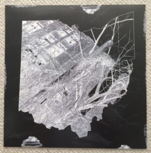 Wreak Havoc - Abandon Everything - Vinyl LP