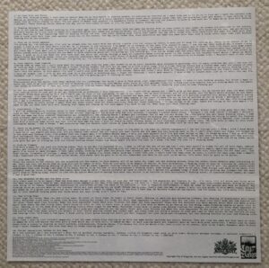Wreak Havoc - Abandon Everything - Vinyl LP - Image 4
